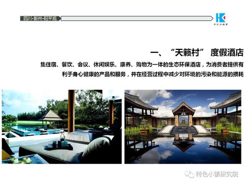 中國道源旅游度假小鎮(zhèn)項目策劃方案